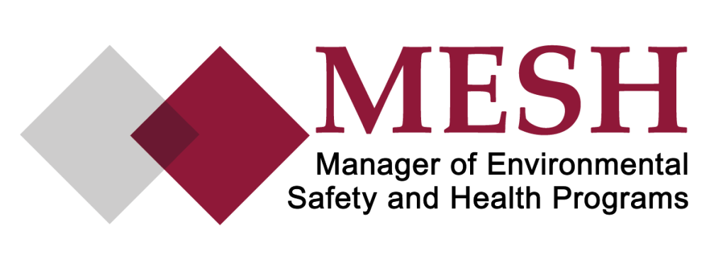 MESH_logo