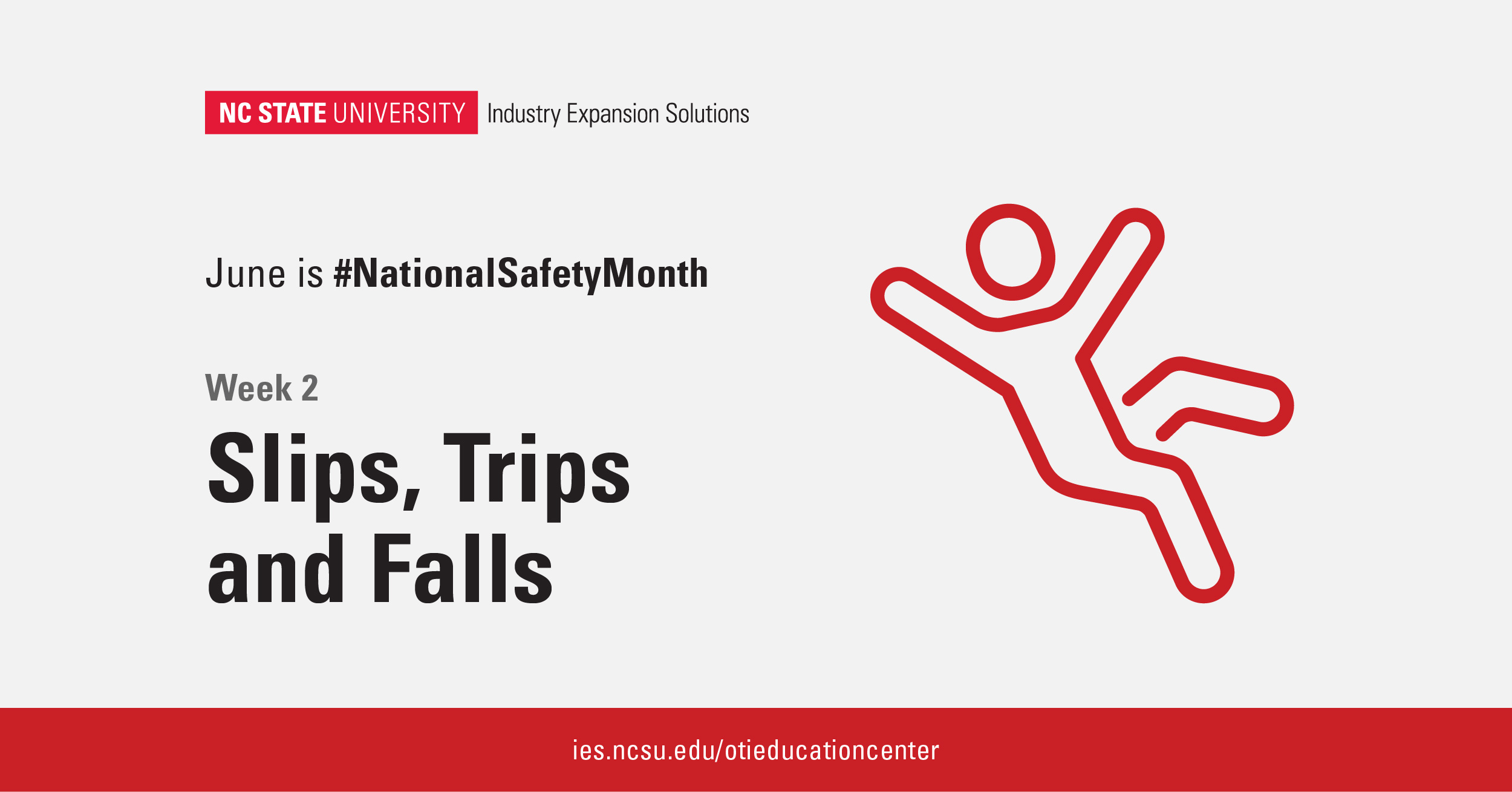 Stay Safe and Upright: Preventing Trips, Slips and Falls at Home and Work -  NC State University Industry Expansion Solutions